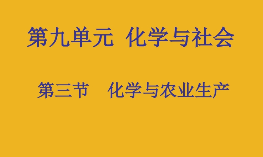 九年级化学 93化学与农业生产课件 鲁教版 课件
