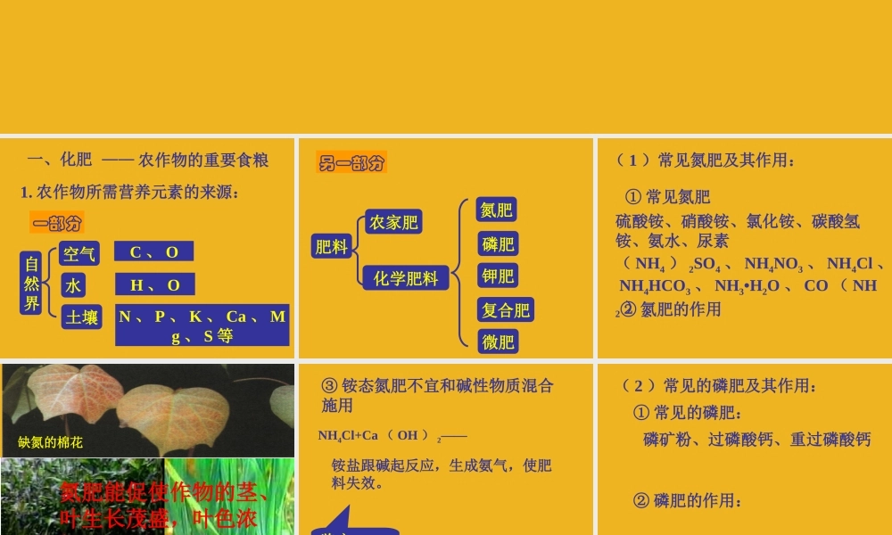 九年级化学 93化学与农业生产课件 鲁教版 课件