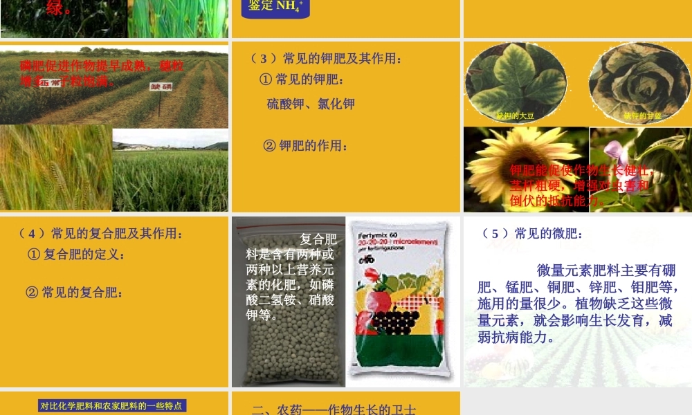 九年级化学 93化学与农业生产课件 鲁教版 课件