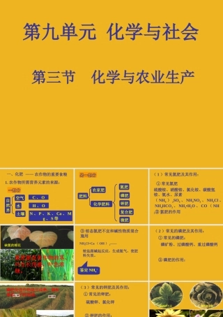 九年级化学 93化学与农业生产课件 鲁教版 课件
