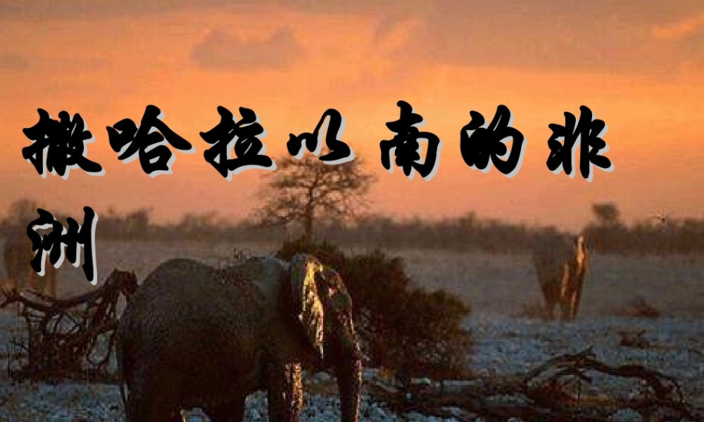 七年级地理下册 第八章第三节撒哈拉以南非洲课件 人教新课标版 课件