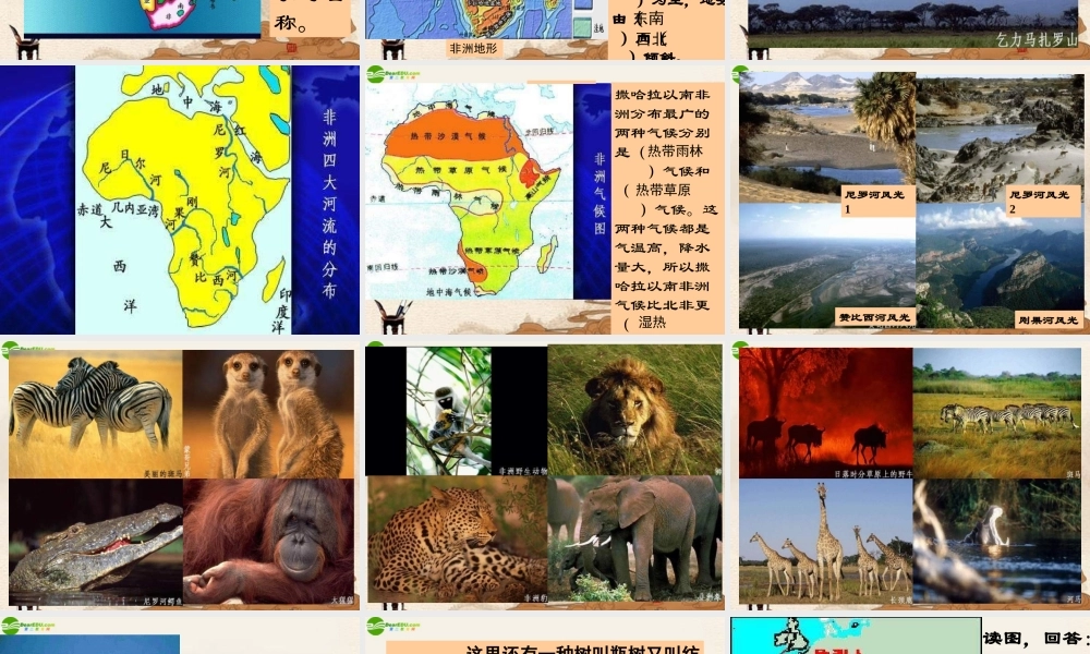 七年级地理下册 第八章第三节撒哈拉以南非洲课件 人教新课标版 课件