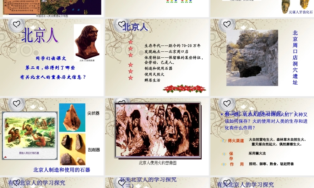 七年级历史上册(第一课中华大地的远古人类)课件 北师大版 课件