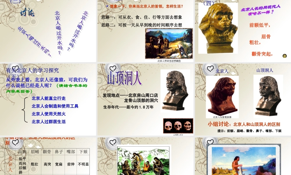 七年级历史上册(第一课中华大地的远古人类)课件 北师大版 课件