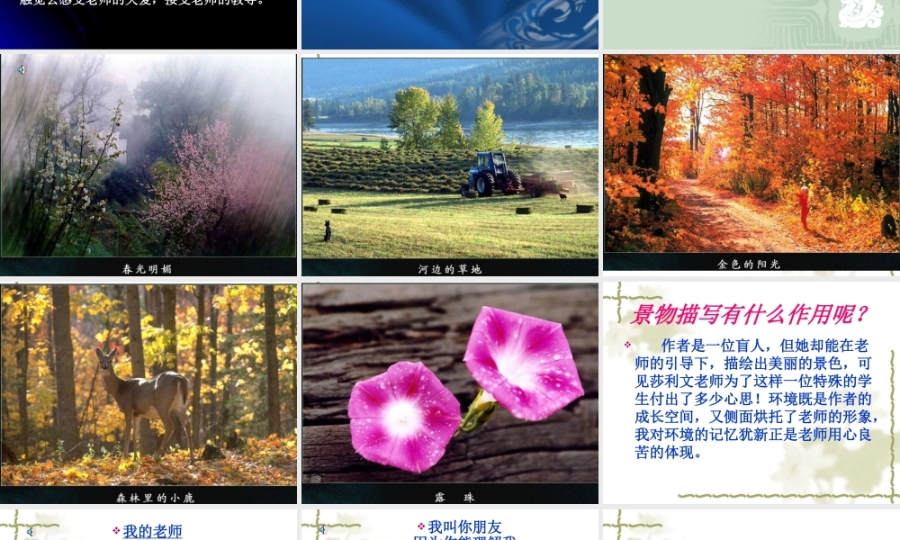 七年级上课件我的老师-语文版本 课件