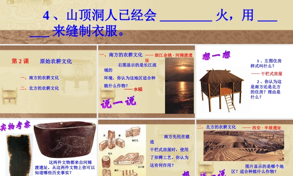 七年级历史原始的农耕生活课件1 新课标 人教版 课件