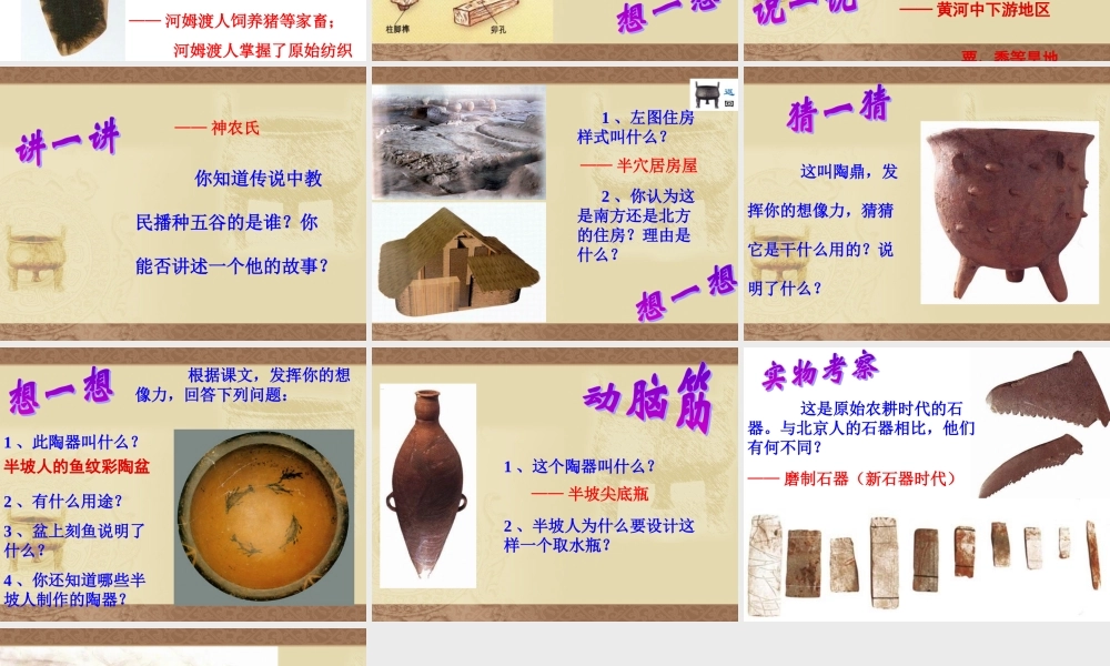 七年级历史原始的农耕生活课件1 新课标 人教版 课件