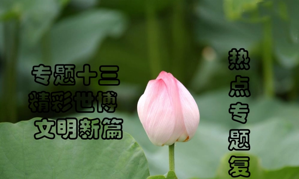 中考热点系列 专题十三 精彩世博 文明新篇 课件