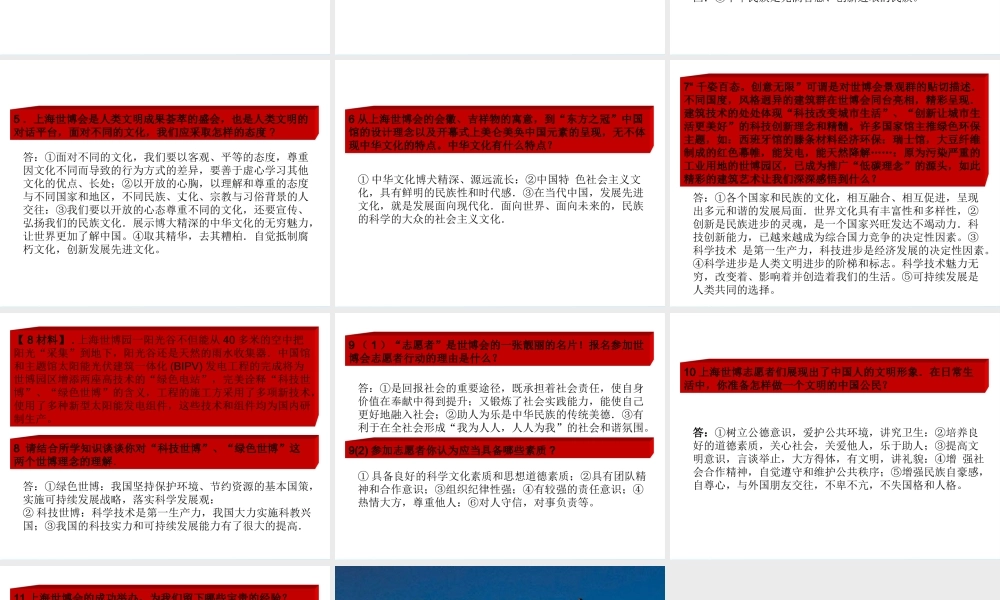 中考热点系列 专题十三 精彩世博 文明新篇 课件