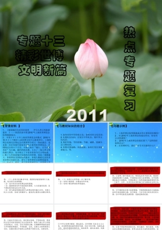 中考热点系列 专题十三 精彩世博 文明新篇 课件