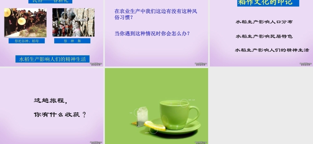 七年级历史家住平原课件 新课标 课件