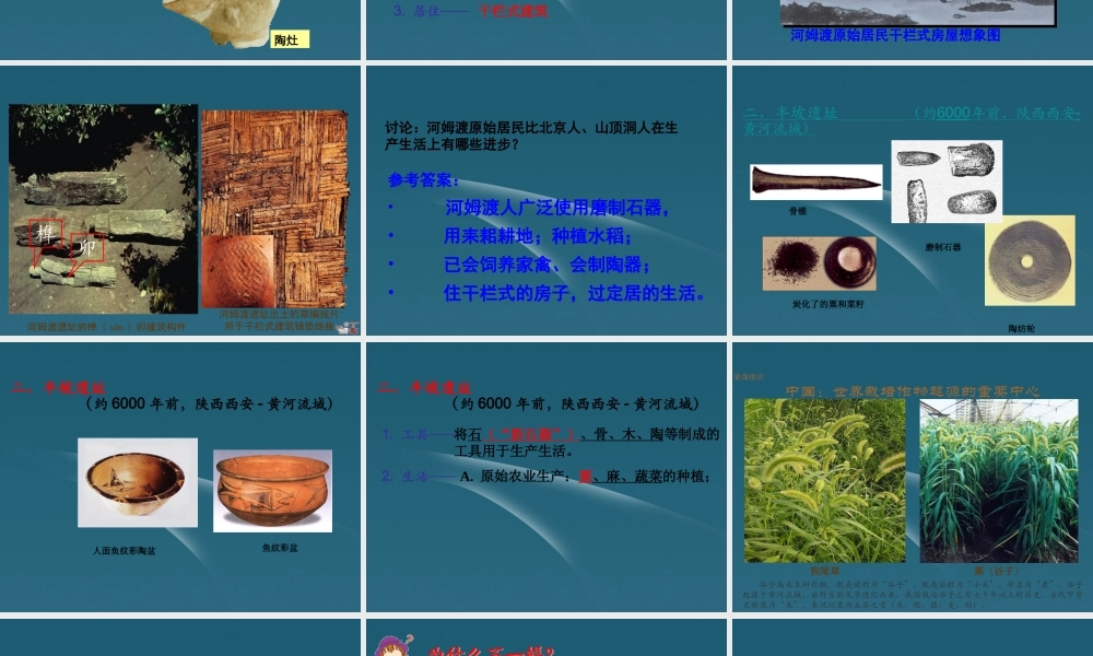 七年级历史上册 第2课 原始农耕文化的遗存课件 川教版 课件