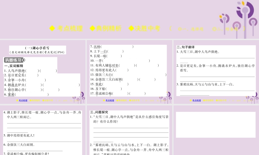 中考语文复习 第二部分 古诗文积累与阅读 专题二 文言文(一)(湖心亭看雪)课件