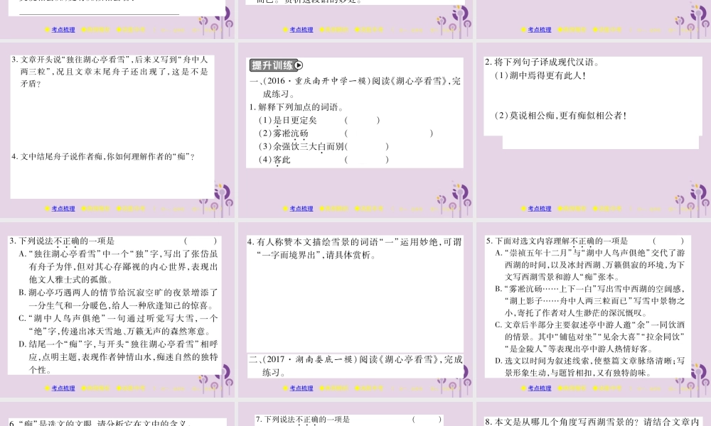 中考语文复习 第二部分 古诗文积累与阅读 专题二 文言文(一)(湖心亭看雪)课件