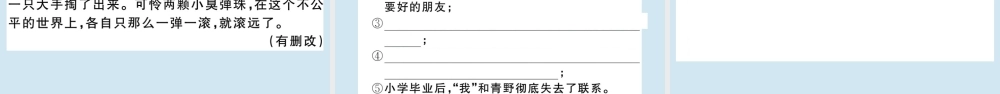 (贵州专版)九年级语文上册 第四单元 16 孤独之旅作业课件 新人教版 课件