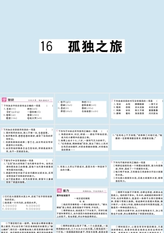 (贵州专版)九年级语文上册 第四单元 16 孤独之旅作业课件 新人教版 课件