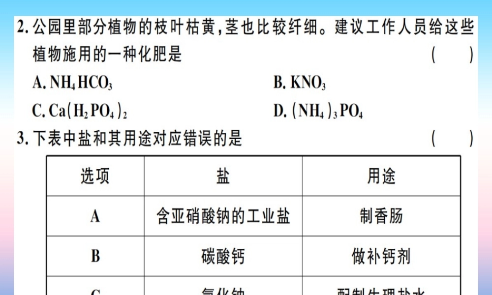 九年级化学下册 第十一单元 盐 化肥检测卷习题课件 (新版)新人教版 课件