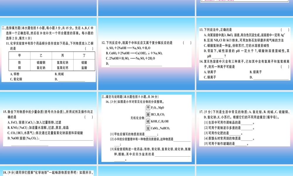 九年级化学下册 第十一单元 盐 化肥检测卷习题课件 (新版)新人教版 课件