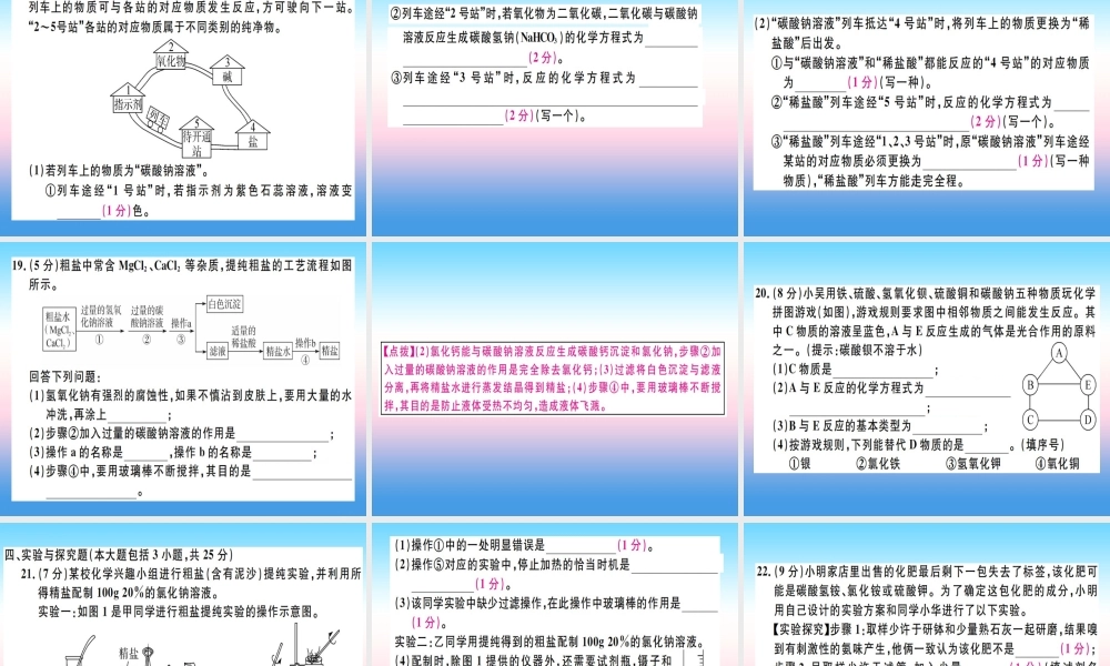 九年级化学下册 第十一单元 盐 化肥检测卷习题课件 (新版)新人教版 课件