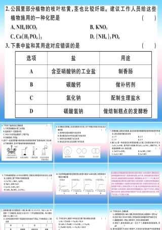 九年级化学下册 第十一单元 盐 化肥检测卷习题课件 (新版)新人教版 课件