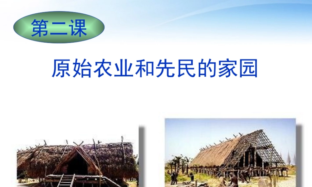 七年级历史上册 原始农业和先民的家园 课件 人教新课标版 课件