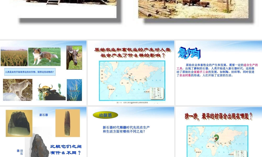 七年级历史上册 原始农业和先民的家园 课件 人教新课标版 课件