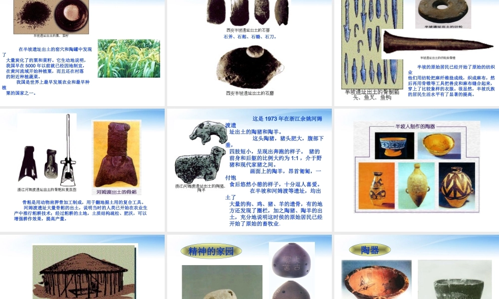 七年级历史上册 原始农业和先民的家园 课件 人教新课标版 课件