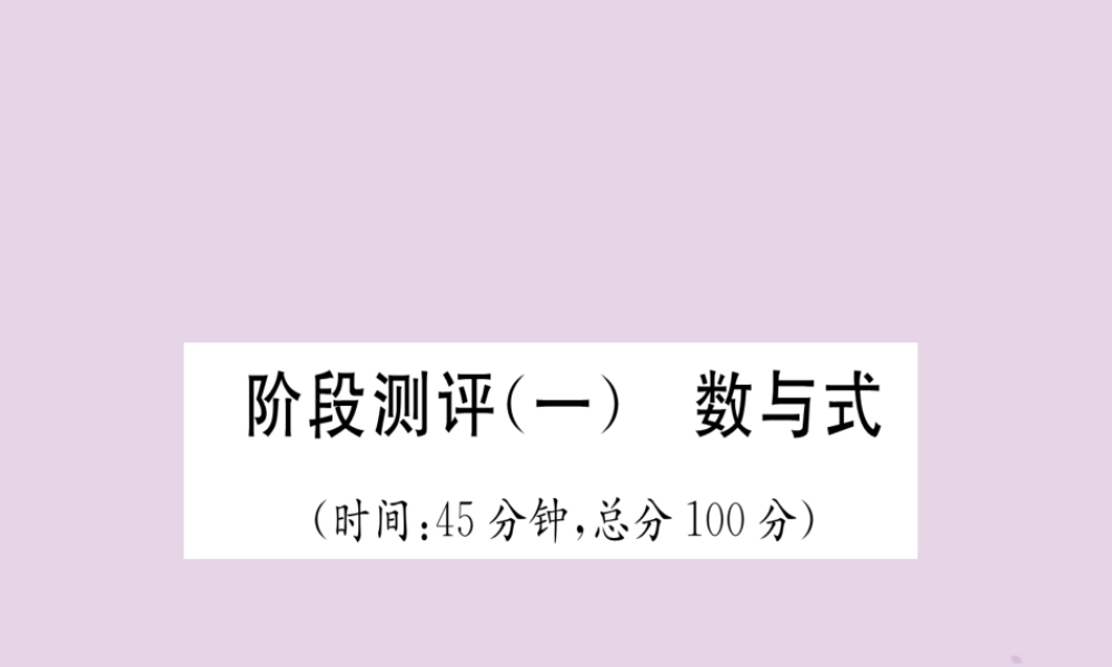 中考数学总复习 阶段测评(1)数与式课件