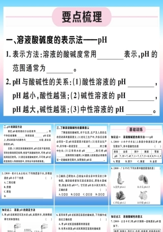 九年级化学下册 第十单元 酸和碱 第2课时 溶液酸碱度的表示法—pH习题课件 (新版)新人教版 课件