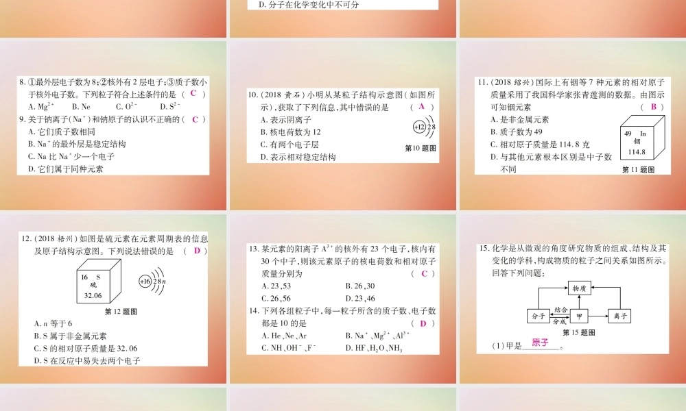 九年级化学上册 第二部分 期末复习攻略 综合专题三 物质构成的奥秘课件 (新版)新人教版 课件