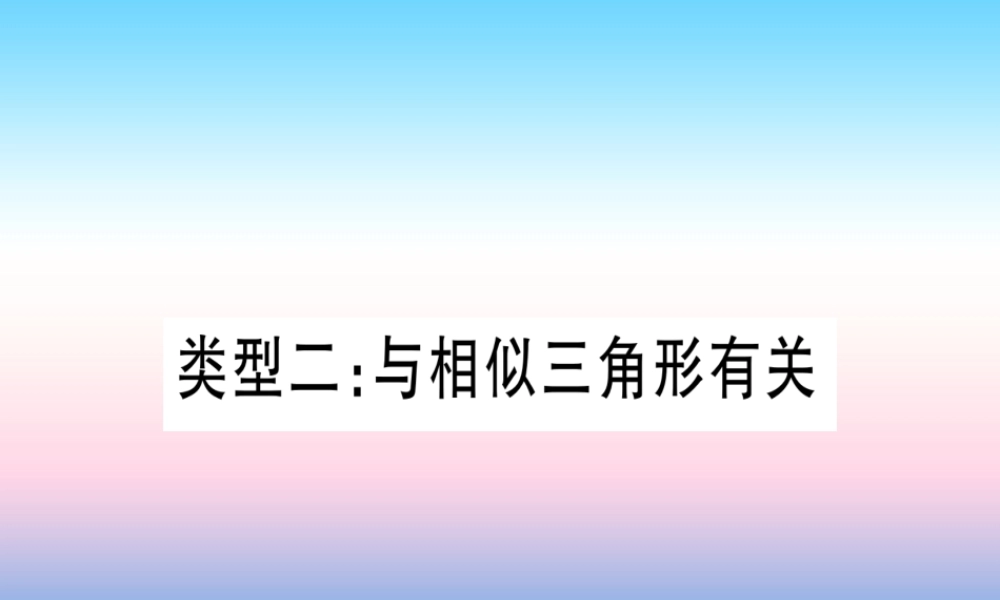 (湖北专版)中考数学总复习 第2轮 中档题突破 专项突破7 圆中证明与计算 类型2 与相似三角形有关习题课件