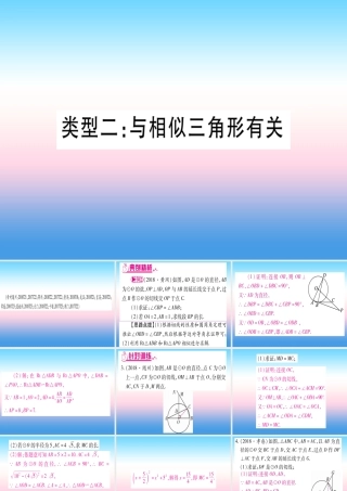 (湖北专版)中考数学总复习 第2轮 中档题突破 专项突破7 圆中证明与计算 类型2 与相似三角形有关习题课件