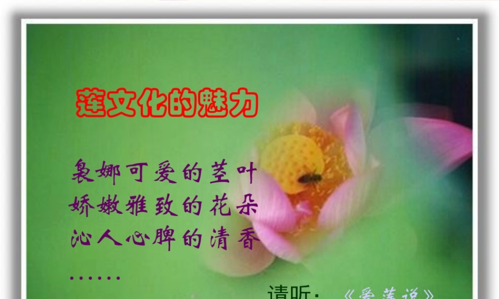 (莲文化的魅力)课件6 八年级语文上册第五单元(综合性学习莲文化的魅力)课件7套人教版 八年级语文上册第五单元(综合性学习莲文化的魅力)课件7套人教版