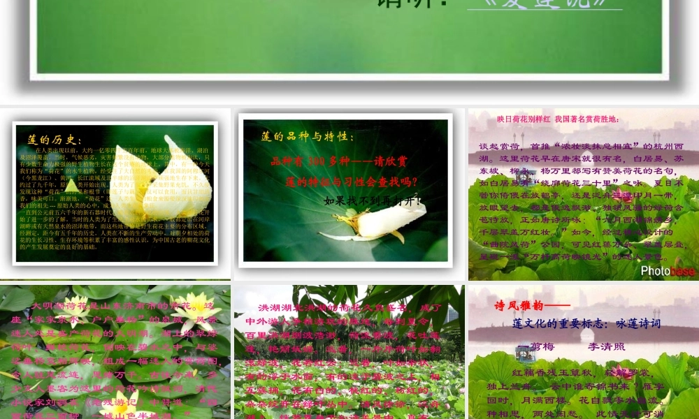 (莲文化的魅力)课件6 八年级语文上册第五单元(综合性学习莲文化的魅力)课件7套人教版 八年级语文上册第五单元(综合性学习莲文化的魅力)课件7套人教版