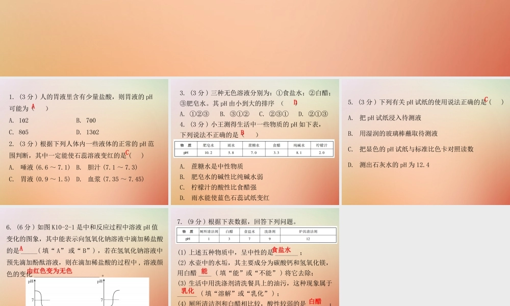 九年级化学下册 第十单元 酸和碱 课题2 酸和碱的中和反应 课时2 溶液酸碱度的表示方法及测定(小测本)课件 (新版)新人教版 课件