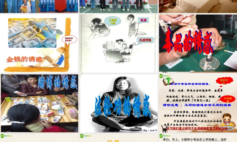 七年级政治下册 面对生活中的不良诱惑公开课课件 鲁教版 课件