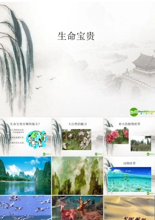 七年级思想品德下册(生命宝贵)课件 粤教版 课件