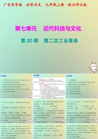九年级历史上册 第第二次工业革命课件 北师大版 课件