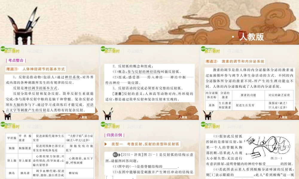 中考生物复习方案 第21课时神经调节与激素调节课件 人教新课标版 课件