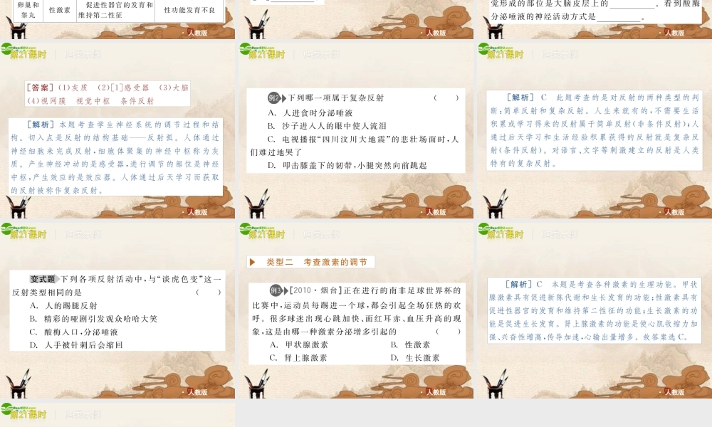 中考生物复习方案 第21课时神经调节与激素调节课件 人教新课标版 课件