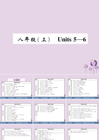 中考英语总复习 第一篇 教材知识梳理篇 八上 Units 5 6(精讲)课件