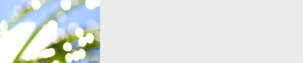 Unitrchaeology words and language points高二英语课件