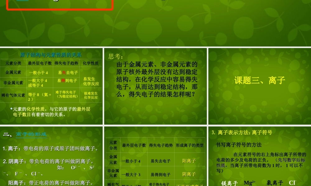 九年级化学上册 32(原子的结构)离子的形成课件 (新版)新人教版 课件