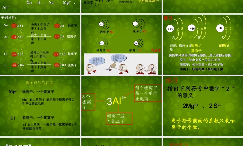 九年级化学上册 32(原子的结构)离子的形成课件 (新版)新人教版 课件