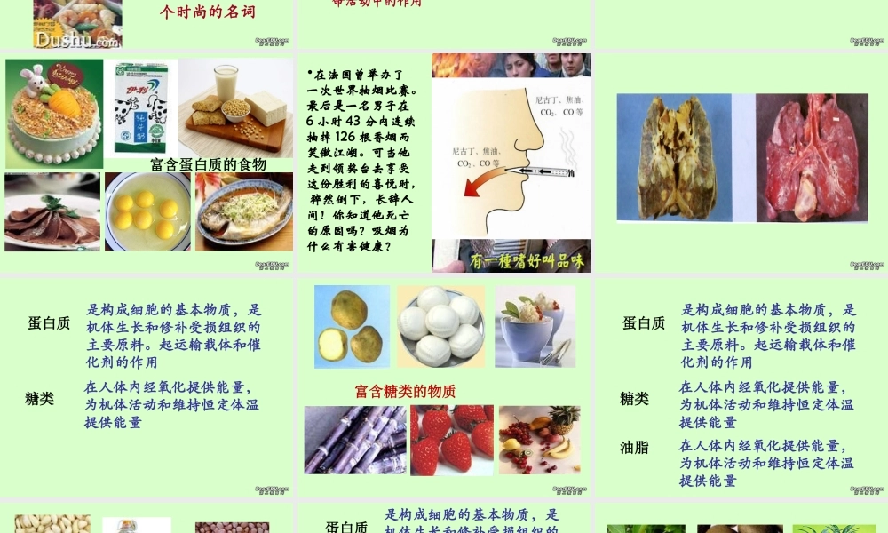 九年级化学人类中重要的营养物质课件 新课标 人教版 课件