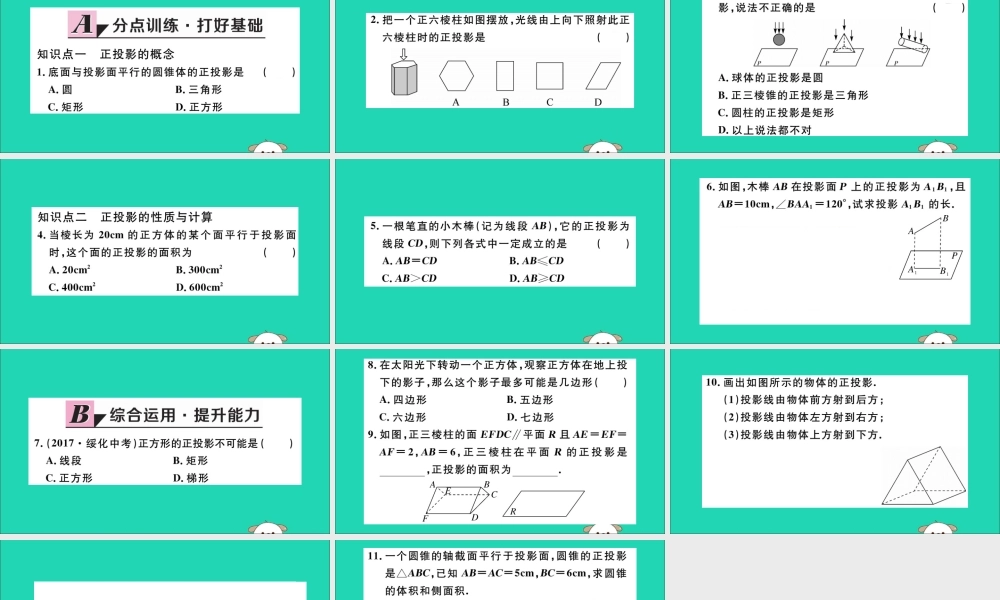 (通用)九年级数学下册 第二十九章 投影与视图 29.1 投影 第2课时 正投影习题讲评课件 (新版)新人教版 课件