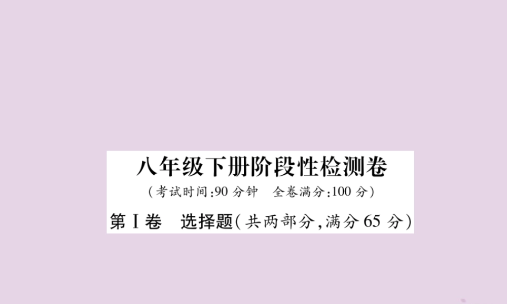 中考英语总复习 第一篇 教材知识梳理篇 八下 阶段性检测卷课件