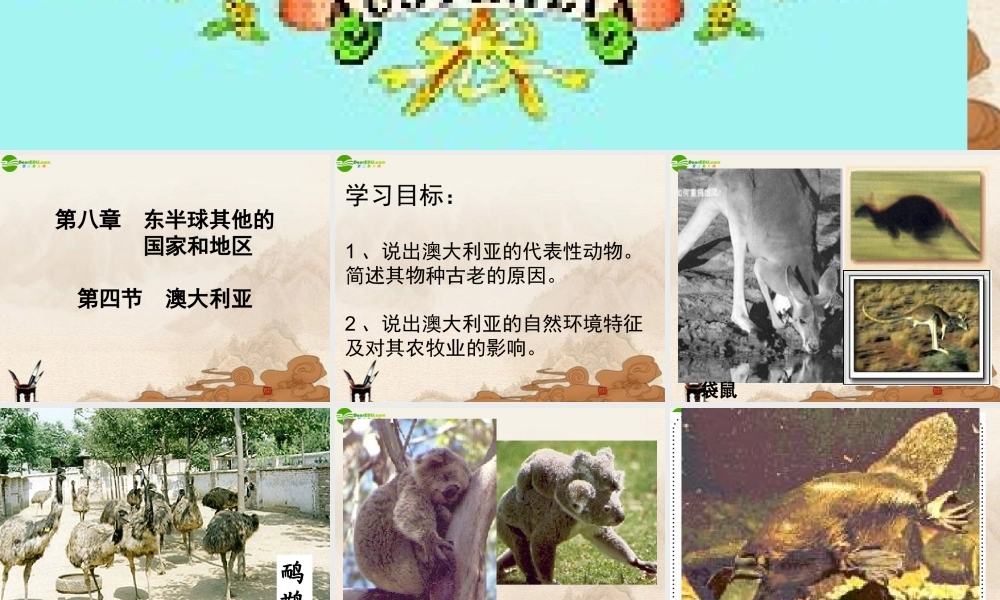 七年级地理上册 第四节澳大利亚课件 人教新课标版 课件