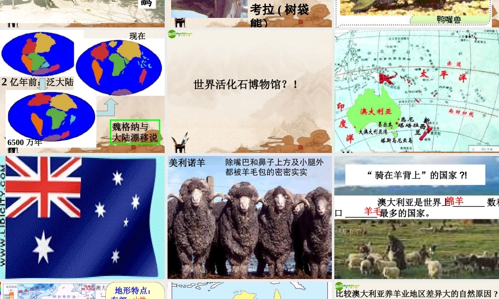 七年级地理上册 第四节澳大利亚课件 人教新课标版 课件