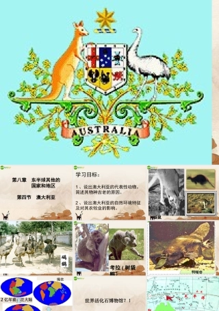 七年级地理上册 第四节澳大利亚课件 人教新课标版 课件